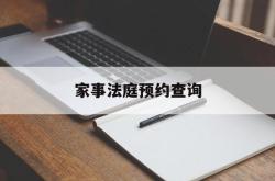 家事法庭预约查询(家事法庭是什么意思)