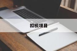 扣税项目(扣税项目里有个年金是什么)